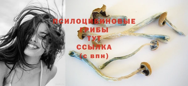 гашишное масло Гусь-Хрустальный
