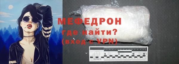 мдпв Гусев
