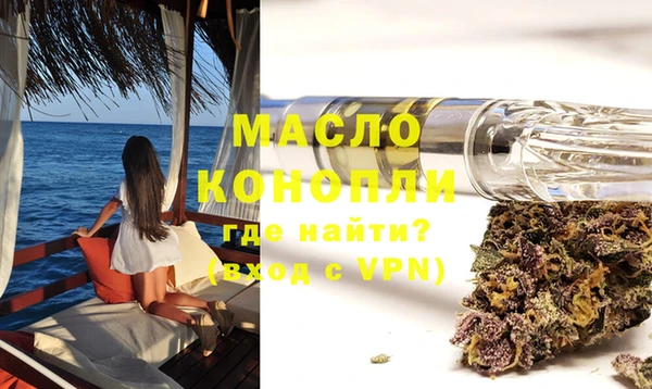 мдпв Гусев