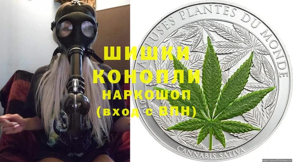 мдпв Гусев