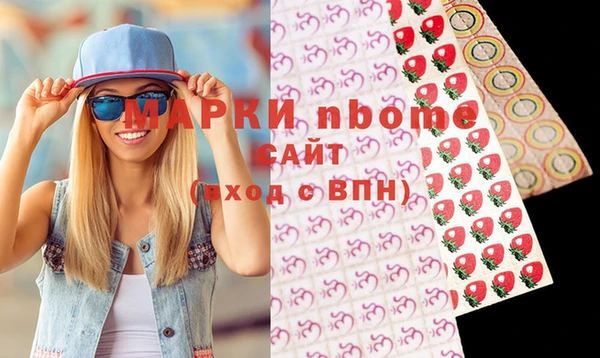 мдпв Гусев