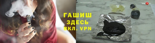 мдпв Гусев