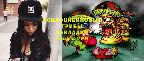 мдпв Гусев