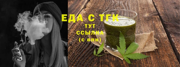 мдпв Гусев
