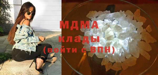 мдпв Гусев