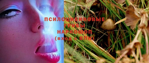 мдпв Гусев