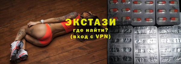 мдпв Гусев