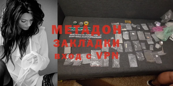 мдпв Гусев
