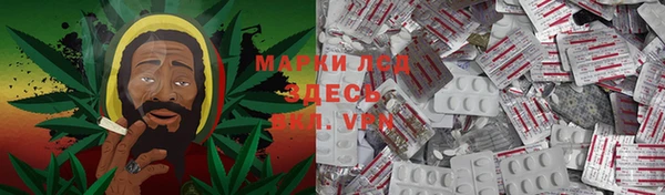 мдпв Гусев