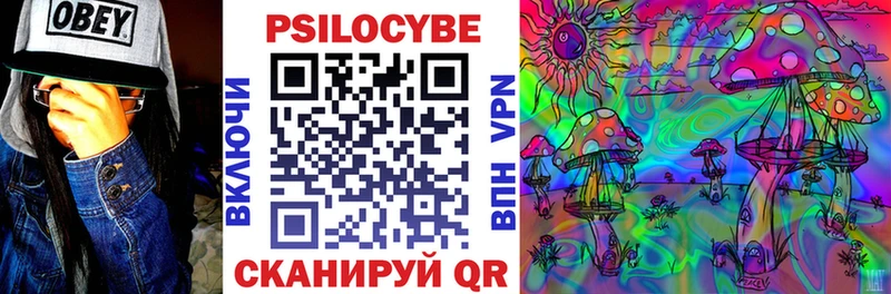 Псилоцибиновые грибы прущие грибы  купить наркотики цена  Жиздра 